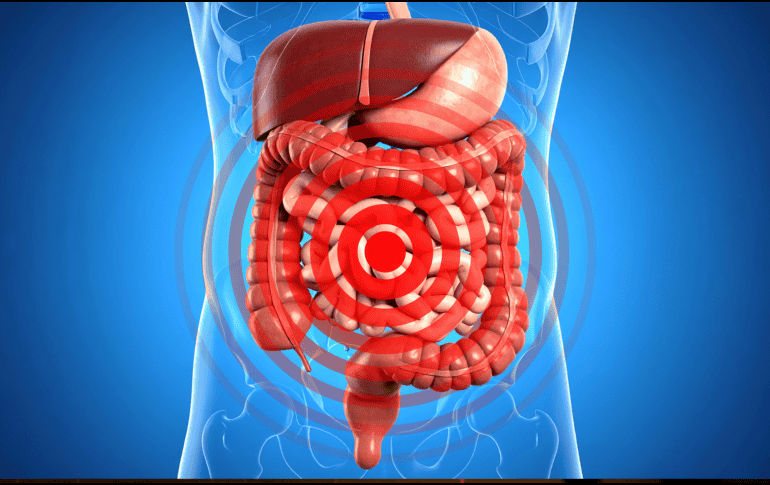 Si estos síntomas aparecen con frecuencia, especialmente después de comer, conviene prestar atención a los hábitos alimenticios y consultar con un profesional de la salud. CANVA