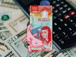 Al arranque de la jornada, el peso mexicano se cotiza en 17.18 unidades por dólar (a las 07:35 horas), lo que representa una apreciación del 0.11% con relación al día de ayer. ESPECIAL / CANVA