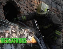 Una vez controlado el fuego, se procedió a comenzar con las labores de enfriamiento para evitar reactivaciones. ESPECIAL / Facebook Protección Civil Jalisco