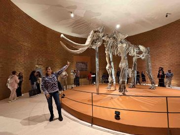 La directora del Museo del Mamut recordó que este fue inaugurado en 2018 como parte de las obras por la construcción del AIFA. SUN/A. Contreras