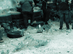 Harfuch aseveró que el Gabinete de Seguridad está listo para cualquier eventualidad inmediata que pueda surgir dentro del CNG. EFE / Presidencia / EL INFORMADOR / ARCHIVO