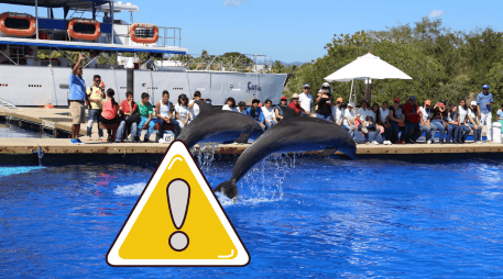 Los LCM son componentes esenciales de las pantallas de portátiles, televisores y teléfonos inteligentes; estos compuestos se consideran contaminantes persistentes. NTX / ARCHIVO