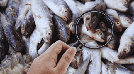 Profeco busca que las personas realicen un consumo saludable y seguro de productos del mar, por eso otorgó algunos consejos. SUN / ARCHIVO