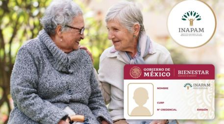 El INAPAM busca promover la integración social y la autonomía de las personas mayores.
PIXABAY/ESPECIAL