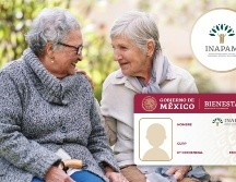 El INAPAM busca promover la integración social y la autonomía de las personas mayores.
PIXABAY/ESPECIAL