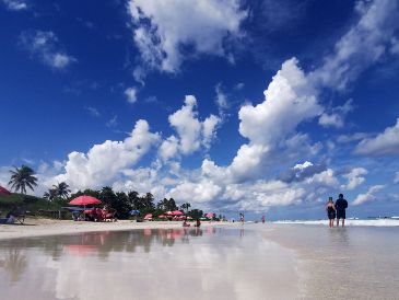 Sayulita enamora al instante con la frescura de sus vientos y lo colorido de sus aguas. EFE/ARCHIVO