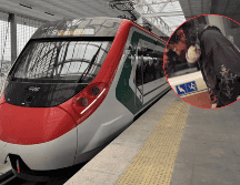 Usuario del Tren Insurgente causa indignación en pasajeros. ESPECIAL / X / @TrenInsurgente / @elvalledemexico