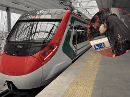 Usuario del Tren Insurgente causa indignación en pasajeros. ESPECIAL / X / @TrenInsurgente / @elvalledemexico