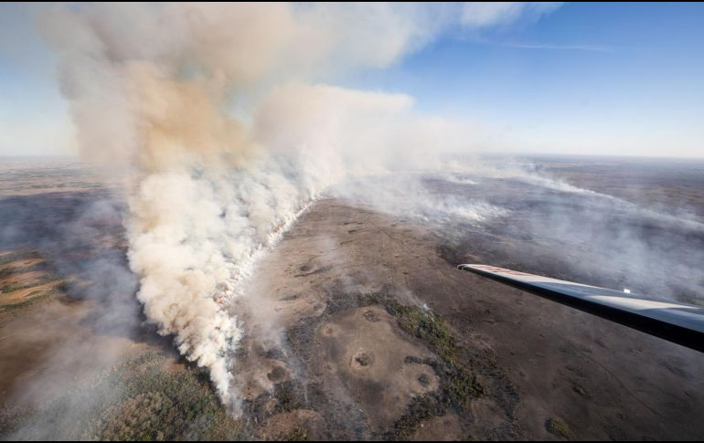 A causa del humo, hay una alerta por baja visibilidad en la carretera conocida como 'Alligator Alley'. EFE/Reserva Nacional Big Cypress
