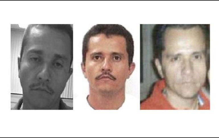 La Fiscalía aplicó protocolos científicos para verificar los lazos familiares de los solicitantes. EFE/ Rastreo de Redes