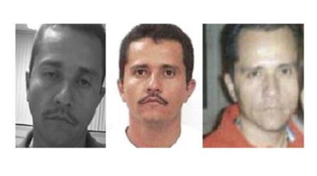 La Fiscalía aplicó protocolos científicos para verificar los lazos familiares de los solicitantes. EFE/ Rastreo de Redes