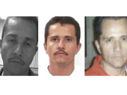 La Fiscalía aplicó protocolos científicos para verificar los lazos familiares de los solicitantes. EFE/ Rastreo de Redes