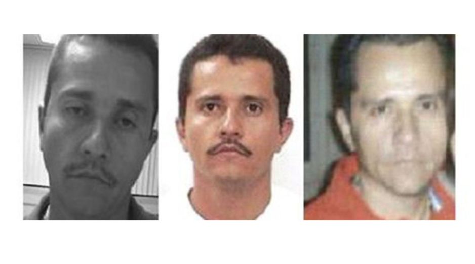 La Fiscalía aplicó protocolos científicos para verificar los lazos familiares de los solicitantes. EFE/ Rastreo de Redes