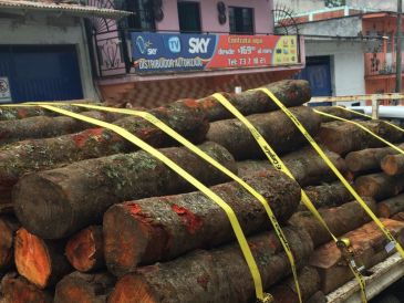 Las acciones incluyeron filtros carreteros e inspecciones a vehículos que transportaban materias primas y productos forestales. EL INFORMADOR/Archivo