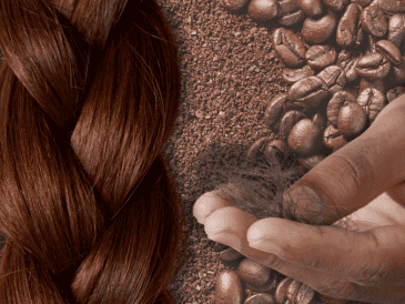 De acuerdo con la página oficial de L