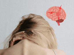 Antes de especular sobre padecer un problema neurológico, es recomendable ser canalizado por un profesional de la salud. UNSPLASH / K. KULIKOVA