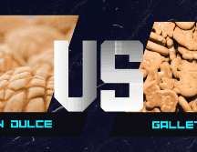 Muchas hipótesis giran en torno al pan y los efectos que produce su consumo, ¿pero es verdad que engorda tanto?. ESPECIAL / CANVA / EL INFORMADOR / ARCHIVO