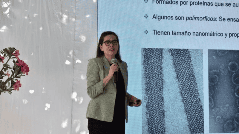 La Dra. Palomares Aguilera se especializa en la producción de vacunas y proteínas terapéuticas utilizando sistemas de expresión en insectos. ESPECIAL / FACEBOOK / CIATEJ&nbsp;