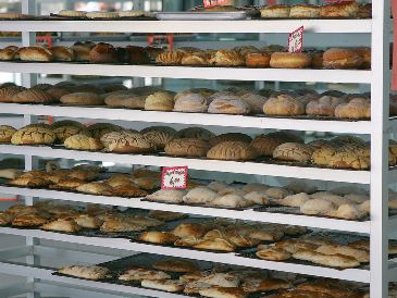 Más allá de las calorías, la clave está en moderación y en mantener un estilo de vida activo. ESPECIAL