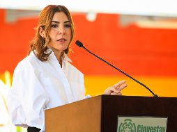 La titular de la Sedeco, Cindy Blanco Ochoa, explicó que el objetivo principal de estos programas es evitar la pérdida de empleos. EL INFORMADOR/ARCHIVO