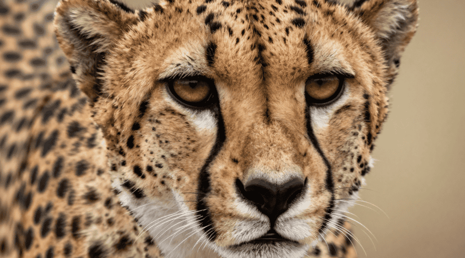 Pequeñas acciones multiplicadas por millones de personas pueden generar un gran impacto. CANVA