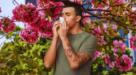 Una de las expresiones más comunes de la alergia en primavera es la rinitis alérgica o fiebre del heno, que se caracteriza por la presencia de estornudos, comezón, prurito óptico y en la garganta, nariz o boca. EL INFORMADOR / ARCHIVO / ESPECIAL / CANVA