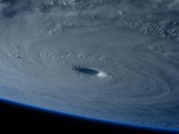 Los nombres siguen un orden alfabético y alternan entre femeninos y masculinos. UNSPLASH.