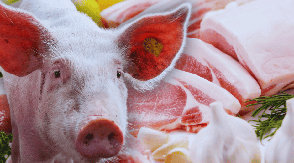 El consumo promedio de carne de cerdo supera los 22 kg anuales por persona. ESPECIAL / CANVA