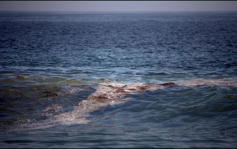 Se reportó la presencia de residuos derivados del petróleo en playas, lagunas y mar abierto a lo largo de casi 170 kilómetros. EFE/L. Villalobos