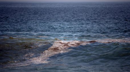 Se reportó la presencia de residuos derivados del petróleo en playas, lagunas y mar abierto a lo largo de casi 170 kilómetros. EFE/L. Villalobos