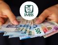 El llamado “pago doble” no corresponde a un aumento permanente en el monto de la pensión del IMSS. ESPECIAL.