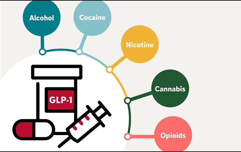 Los GLP-1 actúan sobre los circuitos de recompensa del cerebro. EFE/WashU Medicine