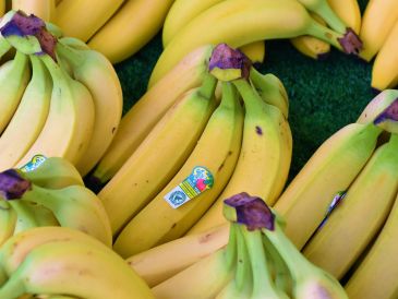 Las variedades de plátanos poseen diferentes características. UNSPLASH / W. BRANDT