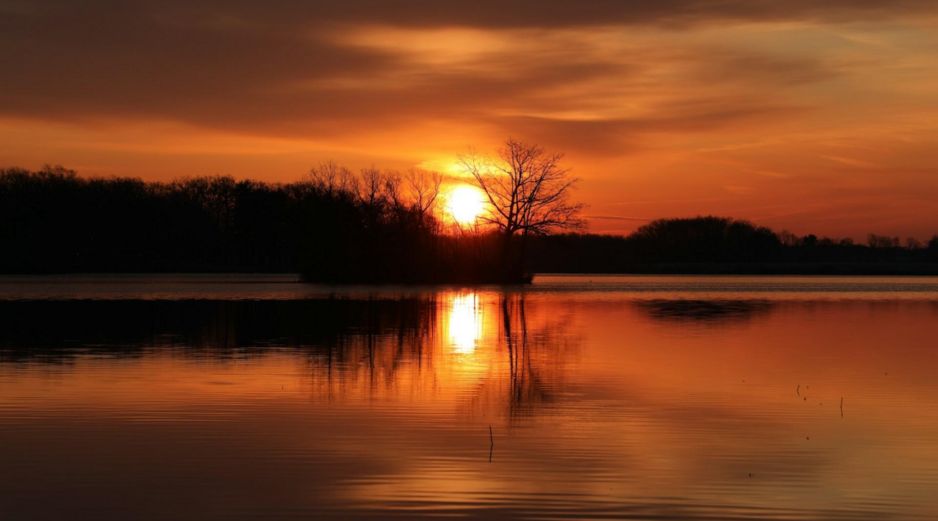 Con la llegada de la primavera, el clima comienza a tornarse más cálido, los días se alargan y los paisajes se llenan de color. UNSPLASH.