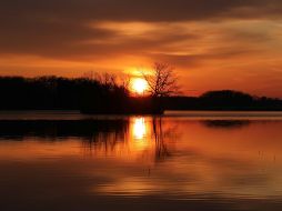 Con la llegada de la primavera, el clima comienza a tornarse más cálido, los días se alargan y los paisajes se llenan de color. UNSPLASH.