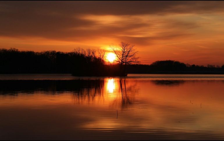 Con la llegada de la primavera, el clima comienza a tornarse más cálido, los días se alargan y los paisajes se llenan de color. UNSPLASH.