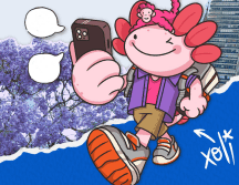 En la sección cultural se puede acceder a carteleras turísticas y agendas mensuales de eventos. FACEBOOK/@Agencia Digital de Innovación Pública