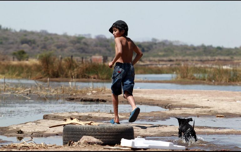 El calor despierta la más pura irritabilidad, cansancio casi permanente y un sueño susceptible. EL INFORMADOR/ARCHIVO