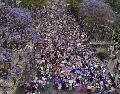 Este domingo 8 de marzo de 2026, la Ciudad de México se pintó de morado. SUN / D. Prado