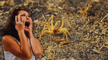 Por su aspecto, la gente confunde a las 