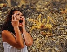 Por su aspecto, la gente confunde a las 