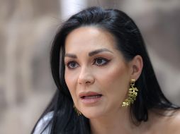 Gómez Pozos sostuvo que uno de los principales puntos de la reforma es la reducción de las prerrogativas que reciben los partidos políticos. EL INFORMADOR/ A. Navarro