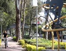 Uno de cada tres adultos y ocho de cada diez adolescentes no cumplen las directrices de actividad recomendadas por la Organización Mundial de la Salud. EL INFORMADOR/ARCHIVO
