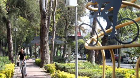 Uno de cada tres adultos y ocho de cada diez adolescentes no cumplen las directrices de actividad recomendadas por la Organización Mundial de la Salud. EL INFORMADOR/ARCHIVO