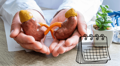 El Día Mundial del Riñón recuerda la importancia de prestar atención a la salud de estos órganos, que muchas veces pasan desapercibidos hasta que surge una complicación. CANVA