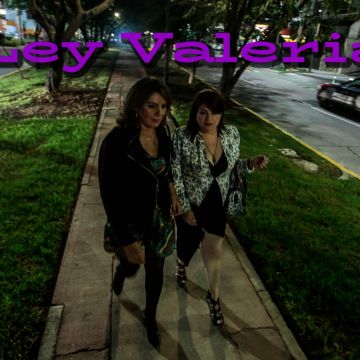 La Cámara de Diputados aprobó la Ley Valeria, una reforma que pretende tipificar el acecho como delito dentro del Código Penal Federal. EL INFORMADOR / ARCHIVOA