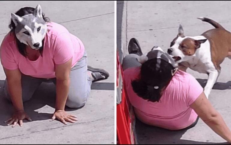 En las imágenes se observa cómo el pitbull muerde la prenda de la mujer. ESPECIAL / X / @mavica81