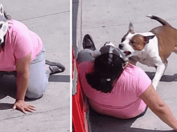 En las imágenes se observa cómo el pitbull muerde la prenda de la mujer. ESPECIAL / X / @mavica81