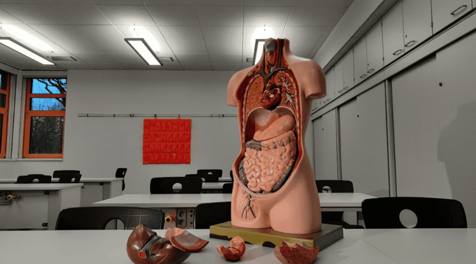 Los detalles fueron publicados recientemente en la revista Science Advances. UNSPLASH / K. KANDLBINDER