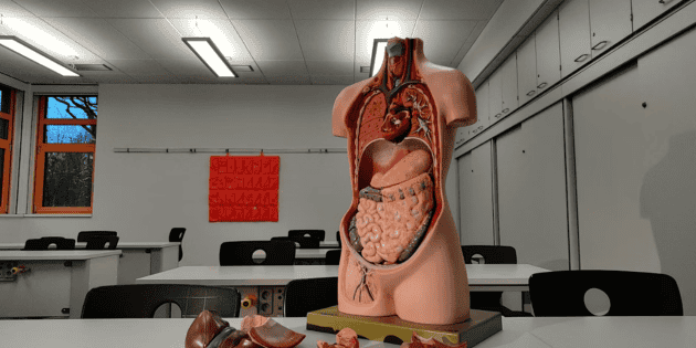 Atlas de &Oacute;rganos Humanos; una nueva manera de estudiar el cuerpo humano